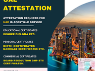 Seamless Attestation Solutions: Skyline's Approach to UAE Documentation