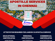 Apostille Services in Chennai: All You Need to Know Part 2