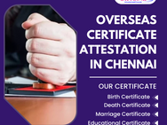 Understanding the Distinct Types of Certificates That Require Attestation in Chennai- Part 2