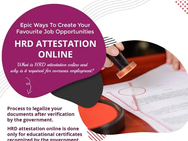 Epic Ways To Create Your Favourite Job Opportunities