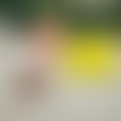 לעזור לו להצליח או לתת לו להיכשל?