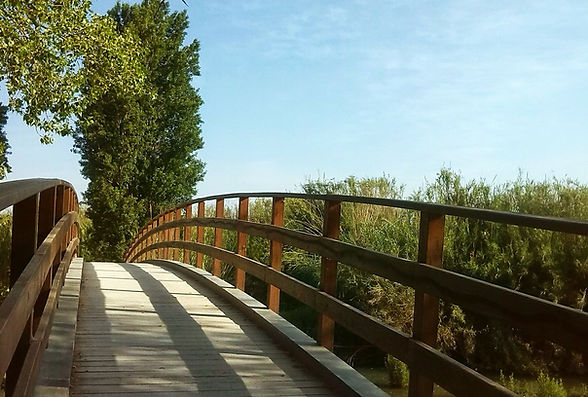 bridge-348022_1920.jpg