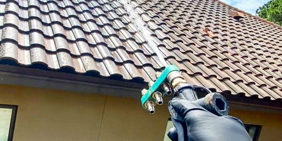 Professional roof cleaning process