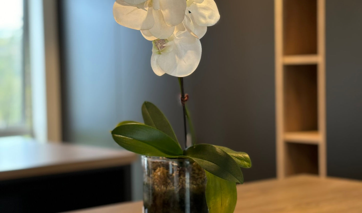 White orchid in glass vase on table