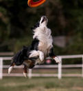 IMG_7573_edited.jpg