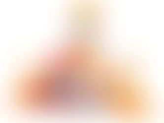 Blog No 1