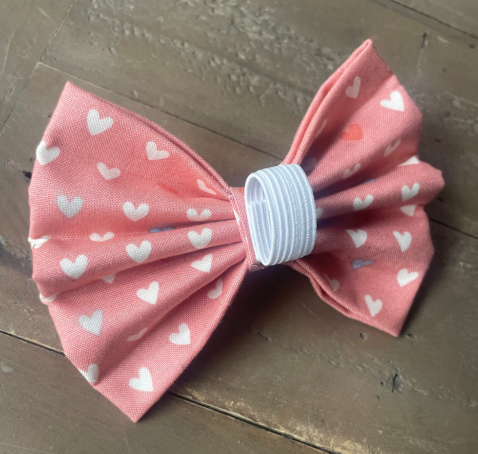 pet bow tie