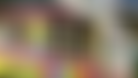 World Book Day - Quad and Trail