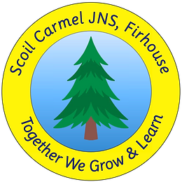 Scoil Carmel Marathon 2024