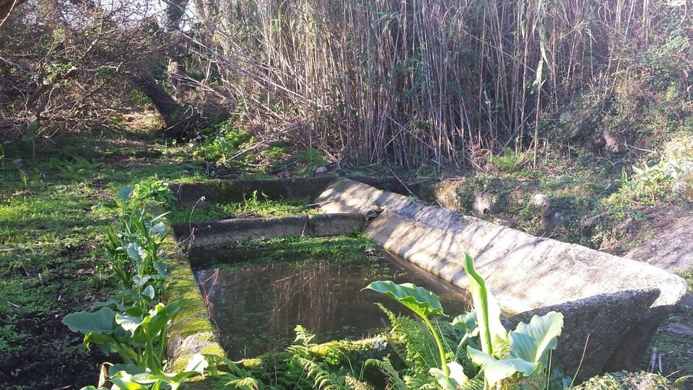 Lavadoiro./ © Ana Rial Maneiro