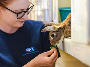 MK & North Bucks AGM Update