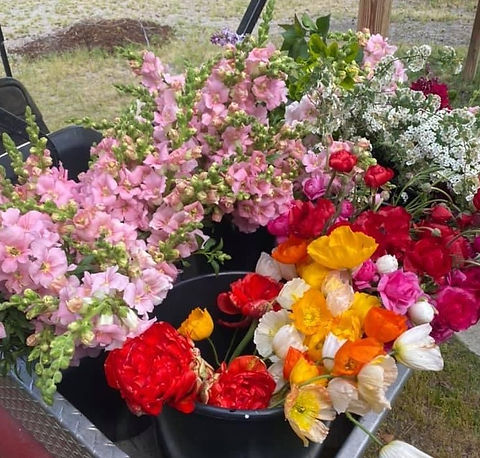 Flowers in golfcart 3 - Copy.jpeg