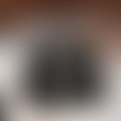 에르메스 하이엔드급 반수공 캔버스 가든파티