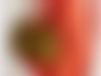 [하이엔드급] 로로피아나 포켓백