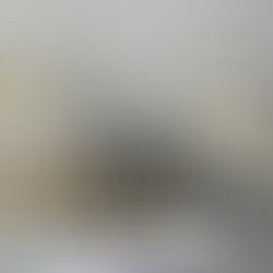 디올 하이엔드급 북토트