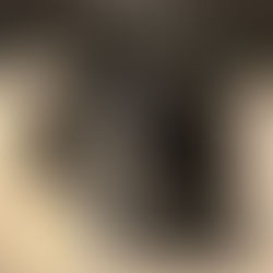 [우버급 슈즈] 샤넬 앵클부츠 몇가지