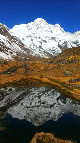 annapurna base camp.jpeg