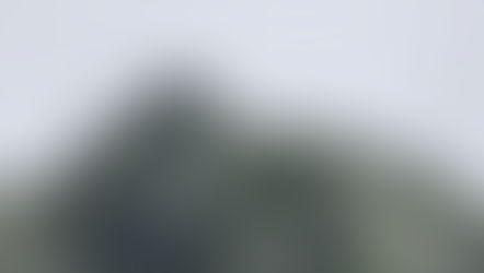 DREAMING OF LAND GIANTS: DISTANCE BROUGHT ME CLOSER.