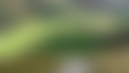 A FIELD IN NORTH WALES: THE VALLEY THAT SHAPED ME