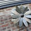 Thumbnail: Large Wall Flower