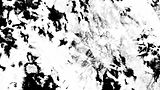 tie dye background, abstract pattern, black and white colour, with fabric texture.jpg