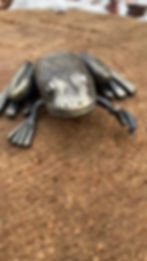 Thumbnail: Froggy