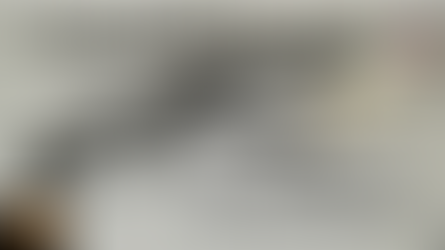 An alternative review….