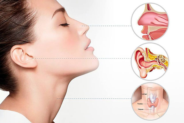 Otorrinolaringologia: saiba o que é | OtoOne | São Paulo
