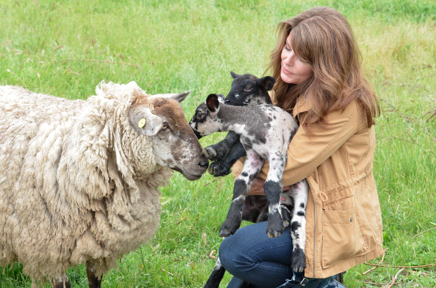 Karista at Cody Wood Farm