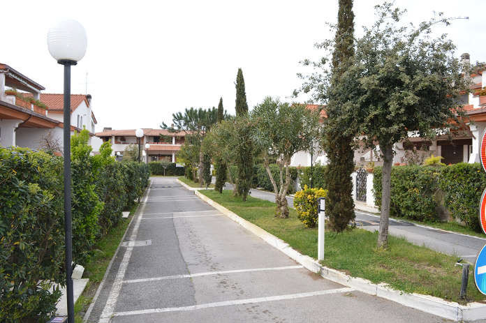 Relazione fitosanitaria piante e arbusti marzo 2021