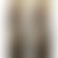 本日のスタイリング