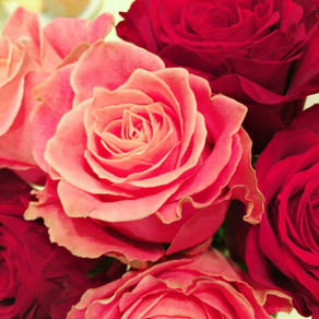 今年も有難うございました