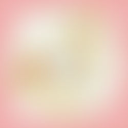 一足早く サンタさん