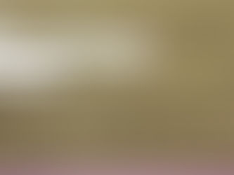 遅くなりましたが 御礼