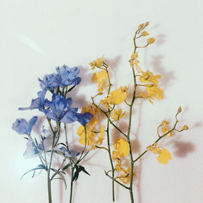 心ばかりの お出迎え