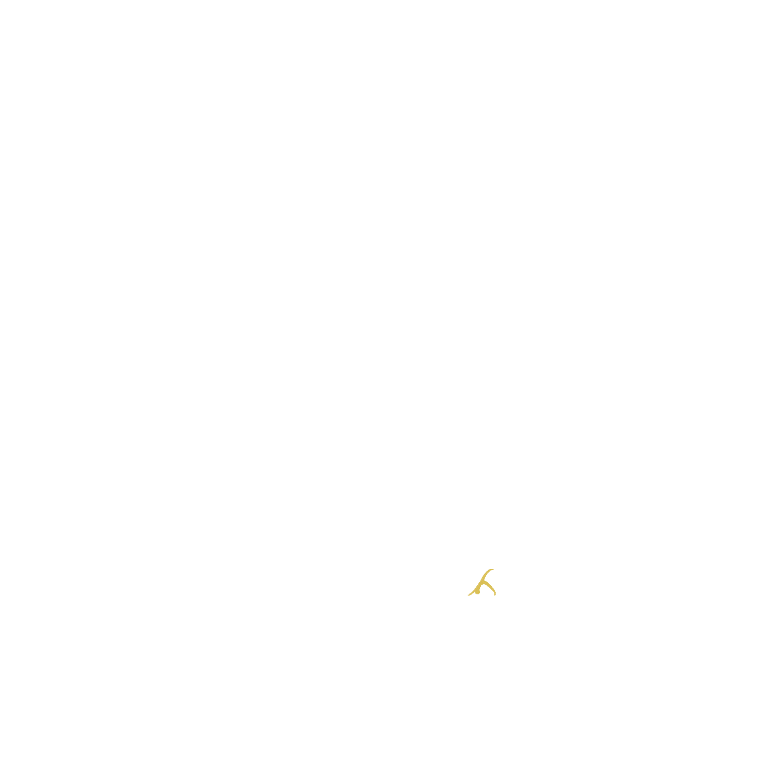 n (2).png