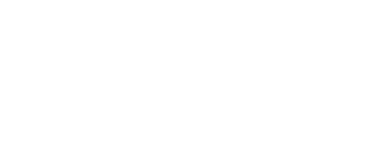 South African Institute of Chartered Accountants (SAICA) logo confirming RVN's professional membership