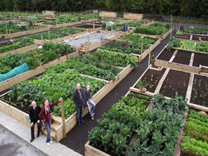 Allotments