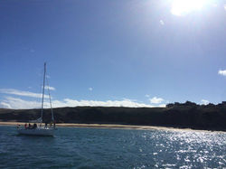 14570773_339659796380583_3675391715753526448_o