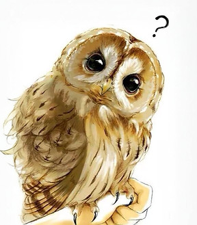 0348b56ccc3831b886a09cc96c3704d5_diedit.