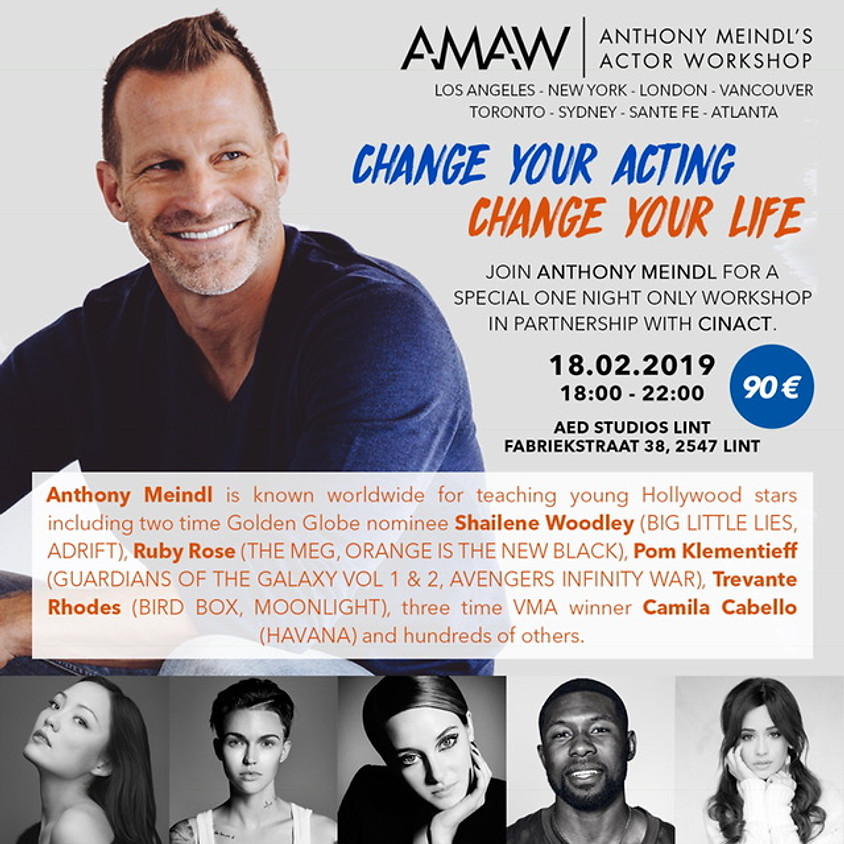 AMAW Hollywood acting teacher in Belgium for a workshop! NEW DATE