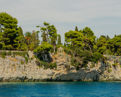 EIN TAG IN SPLIT (12/12)