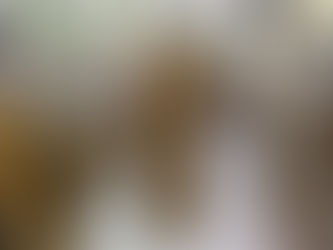 すべての本をカモメ店に移しました。 毎日朝10時から夜10時まで開いてます。