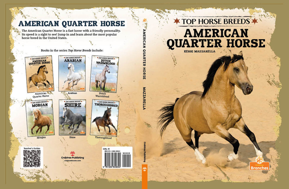 HC_Am Qtr Horse v3
