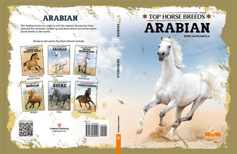 Top Horse Breeds