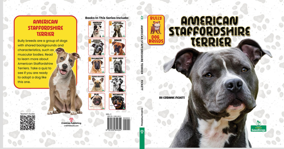 Am Staffordshire Terrier HC