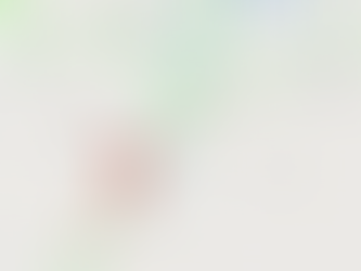 Hwy. 59 Power Line Down On Vehicle, Northbound & Southbound CLOSED Near Morgan Cemetery