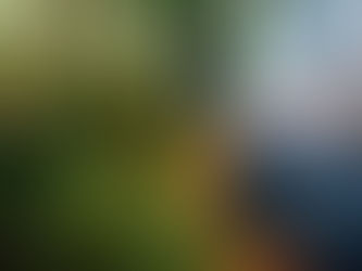 San Jacinto County, CONTROLLED BURN started Sat. morning