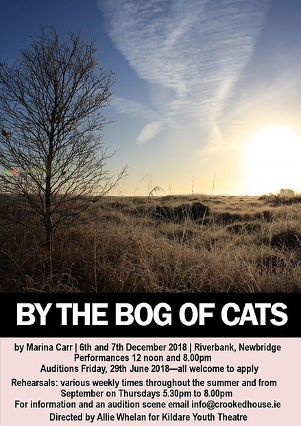 Bog of Cats.jpeg