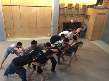 AUDITIONS: Echo Ensemble